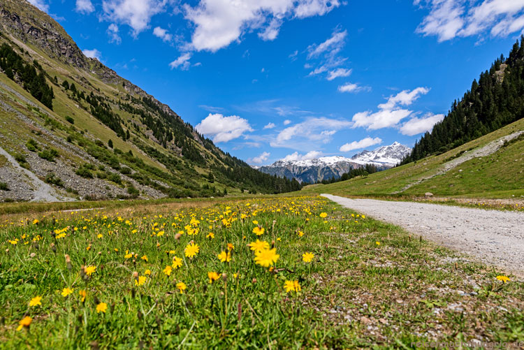 Alpe Garnera - Montafon - Vorarlberg
