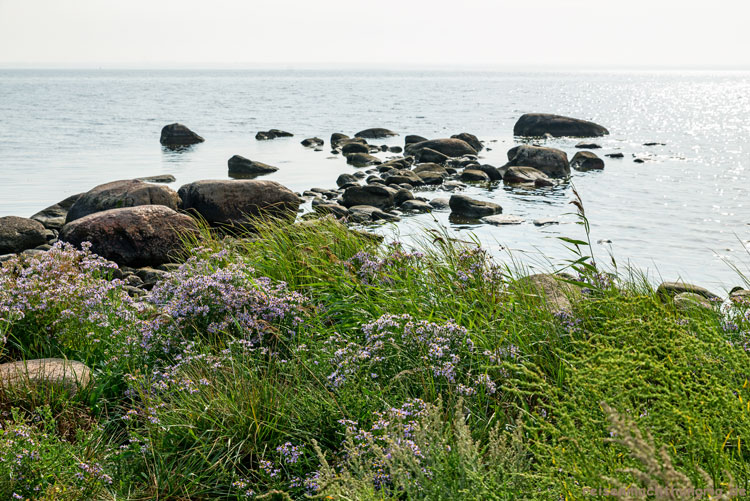 Halbinsel Stensö