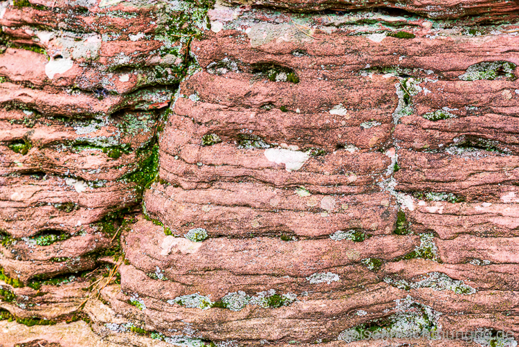 Felsenwand Detail