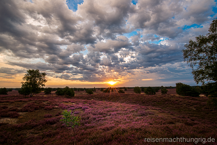 Landschaftsfotografie für Einsteiger Sonnenaufgang über der Nemitzer Heide