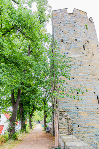 Wehrturm aus grünem Sandstein auf einer Wallmauer