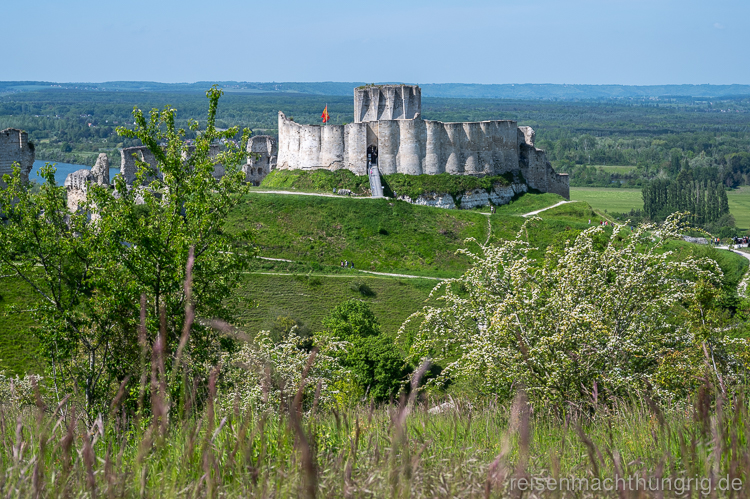 Schlossruine in der Landschaft